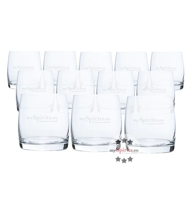 12 Tumbler für Whiskey, Gin, Rum und mehr
