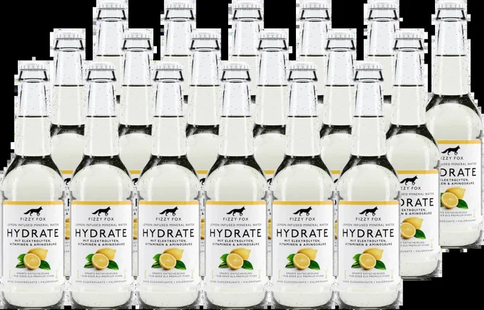 18x Fizzy Fox Hydrate – Lemon Elektrolyt Soda