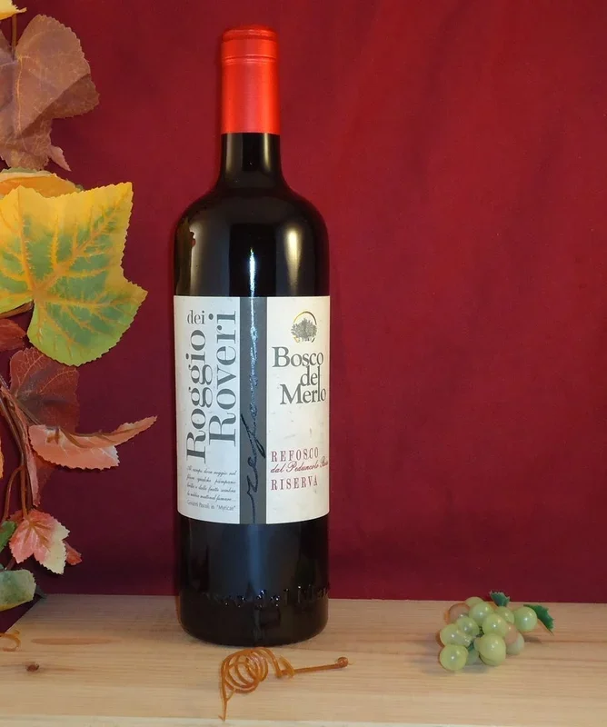 2019 Roggio dei Roveri Refosco Riserva