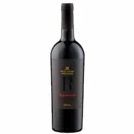 2020 Ripensato R