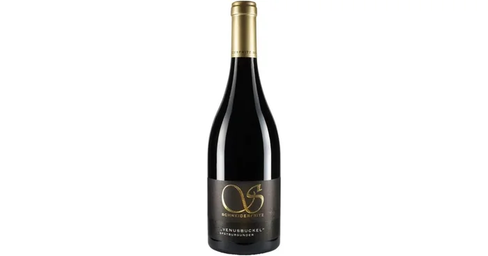 2020er „Venusbuckel“ Spätburgunder