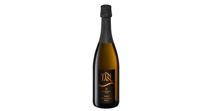 2020er Vinian Brut Blanc de Noir Sekt