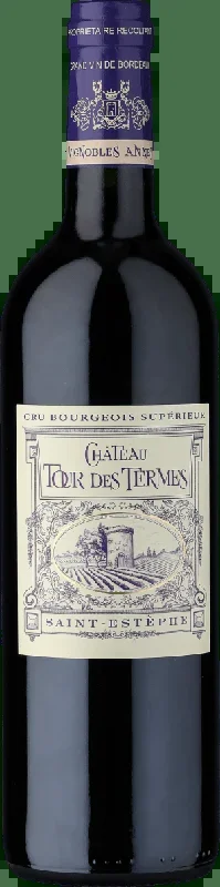 2021 CHÂTEAU TOUR DES TERMES