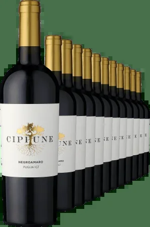2023 Cippune Negroamaro im 12er-Vorratspaket