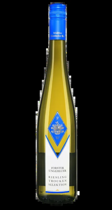 2023er Forster Ungeheuer Riesling Selektion trocken (0,75 l)
