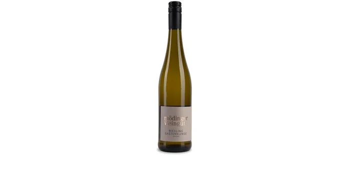 2023er Riesling Gastenklinge trocken