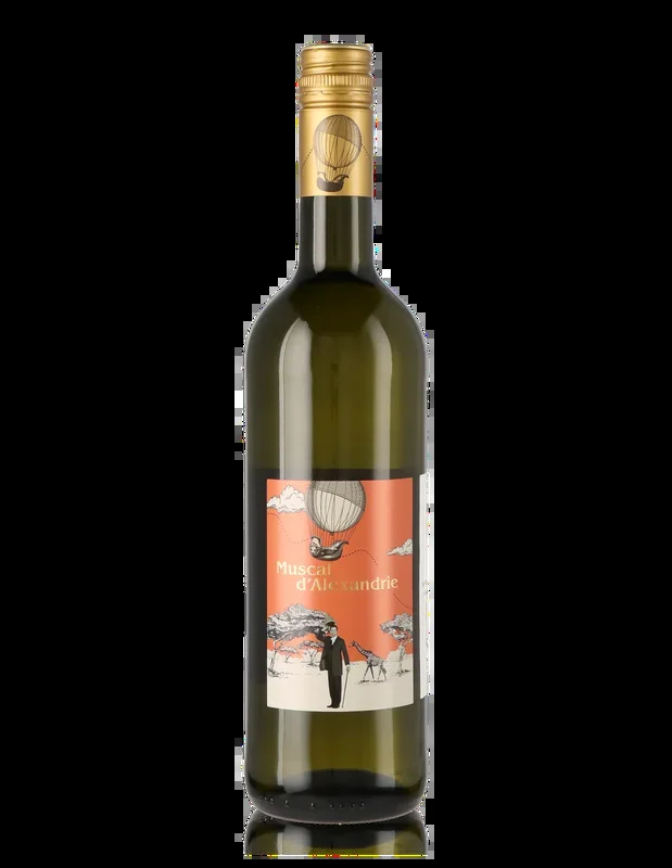 2024 Muscat d’Alexandrie, W.O., sweet, Weingraf-Edition