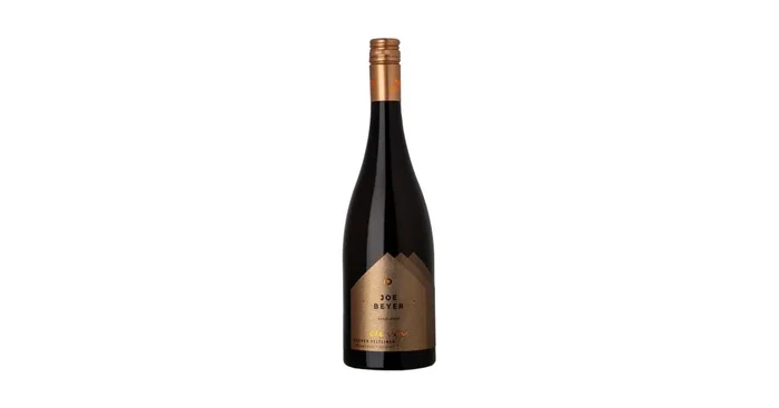 2024er Grüner Veltliner Envoy
