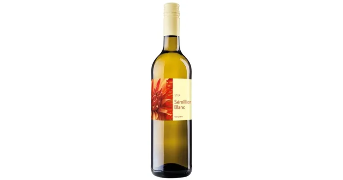 2024er Sémillon Blanc trocken