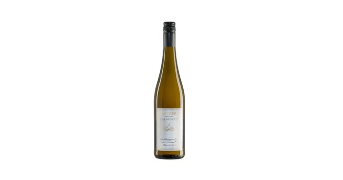 2024er Spätburgunder „Blanc de Noir“