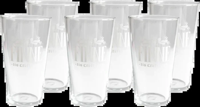 6x Finne beer mug