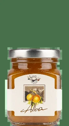 Alpe Pragas Alba Composta di Frutta Albicocca 110g