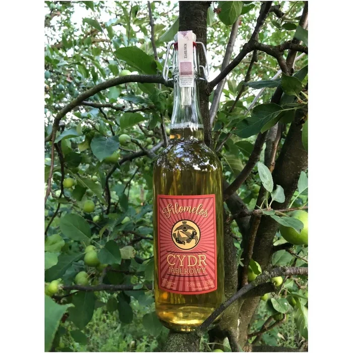 APFELWEIN PHILOMELOS CALM 7%