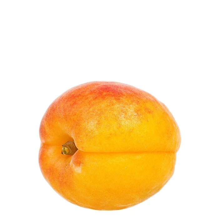 Aprikose