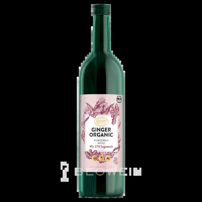 Bauer Bio Ginger Organic Ingwergetränk 0,73 l – kaufen bei tgh24