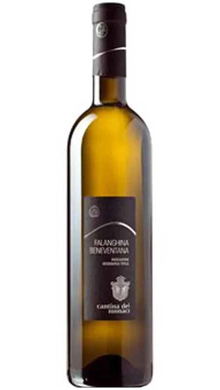 Beneventano Falanghina IGT – Cantina dei Monaci