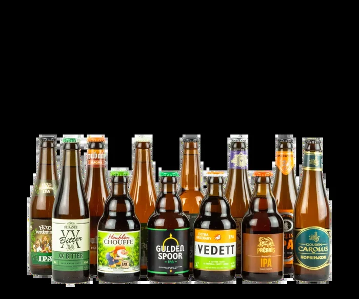 Bierbox Top 12 IPA Biere