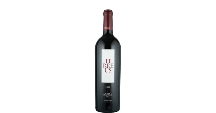 Bodegas Mauro Terreus 2020