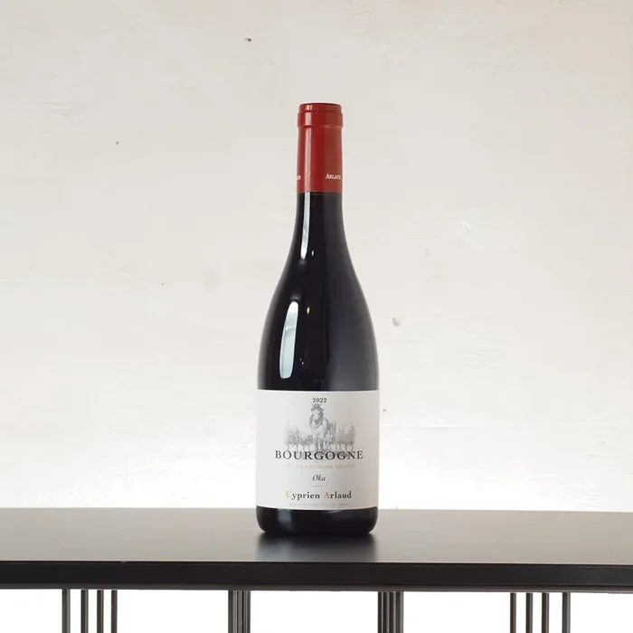 Bourgogne rouge Oka 2023 – Cyprien Arlaud – 0,75
