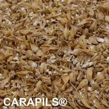 CARAPILS® Malz geschrotet