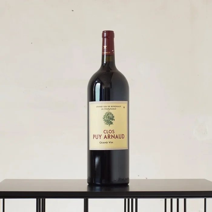 Castillon Côtes de Bordeaux MAGNUM 2019 – Clos Puy Arnaud – 1,5