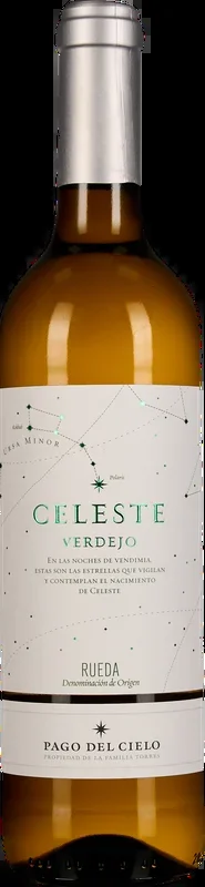 Celeste Verdejo Rueda 2024