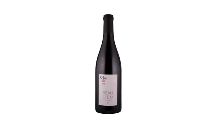 Château de la Selve Côteaux de L’Ardèche rouge Beaulieu – Amphore 2021 Biowein – FR-BIO-01