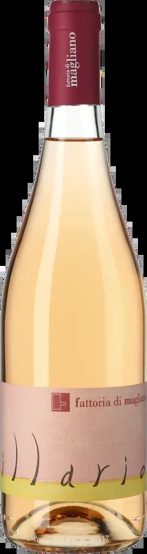 Fattoria di Magliano Illario 2019