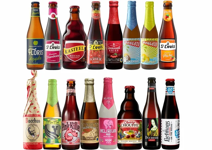 Fruchtbier Bier Paket mit 16 Bierflaschen