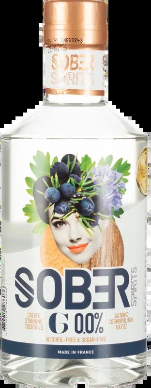 G alkoholfrei 0,5 Liter