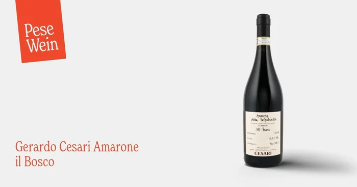 Gerardo Cesari Amarone il Bosco 2016