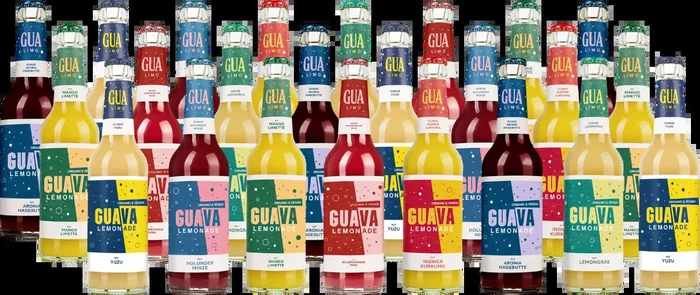 GUA LIMO 24er Gemischte Kiste (4x Aronia & Hagebutte + 4x Mango & Limette + 4x Yuzu + 3x Sauerkirsche & Rose + 3x Holunder & Minze + 3x Lemongras + 3x Ingwer & Kurkuma)