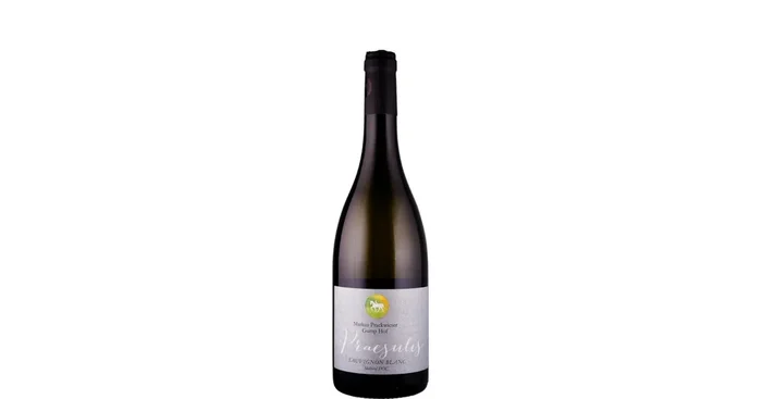 Gump Hof – Markus Prackwieser Sauvignon blanc Praesulis 2023