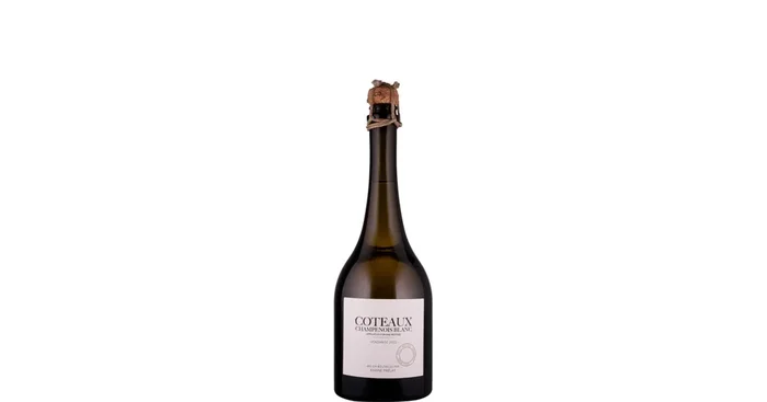 Karine Prélat Coteaux Champenois Blanc 2022