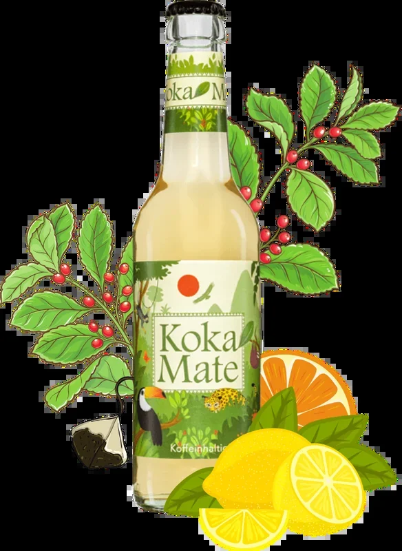 Koka Mate – Organic refreshing drink with coca plant extract – 18 pack