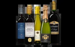 Komplettes, festliches Weinpaket