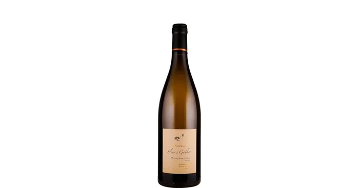 La Tour Gallus Muscadet Sèvre et Maine sur lie Fleur de Gabbro 2022