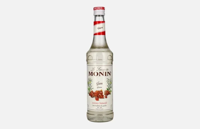 Le Sirop de Monin GUMMI-ARABICUM 0,7l