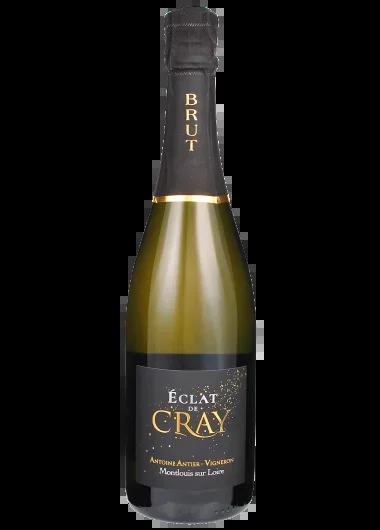 Montlouis sur Loire Brut