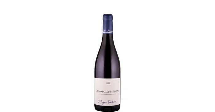 Morgan Truchetet Chambolle Musigny 2022