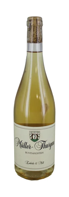 Müller Thurgau Buntsandstein2019
