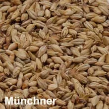 Münchner Malz ungeschrotet