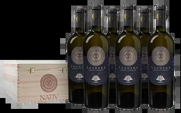 Nativ Suadens‘ Bianco – Kiste
