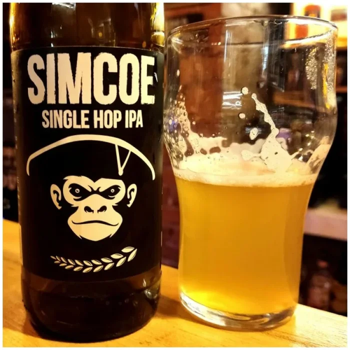NIECZAJNA SIMCOE Single Hop IPA