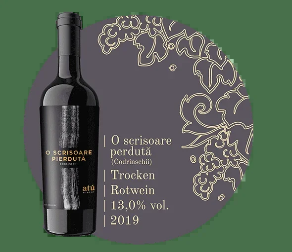 O scrisoare pierdută (Codrinschii)