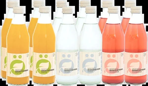 ÖselBirch Probierkiste „Fermentierte Birke“ – 12x 0,33 l Birkensaft-Erfrischungsgetränke