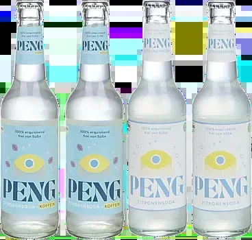 PENG Bio-ZitronenMix 12er Paket (6x Zitronensoda + 6x koffeinhaltiges Zitronensoda)