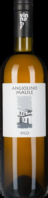 Pico Garganega 2022