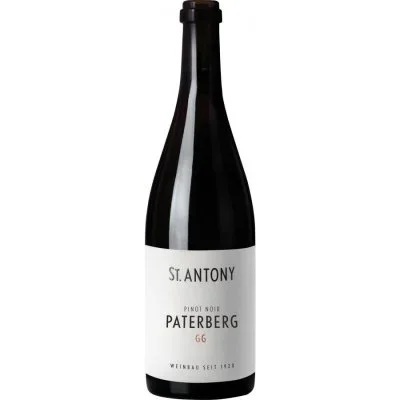 Pinot Noir Niersteiner Paterberg GG 2020 – St.Antony