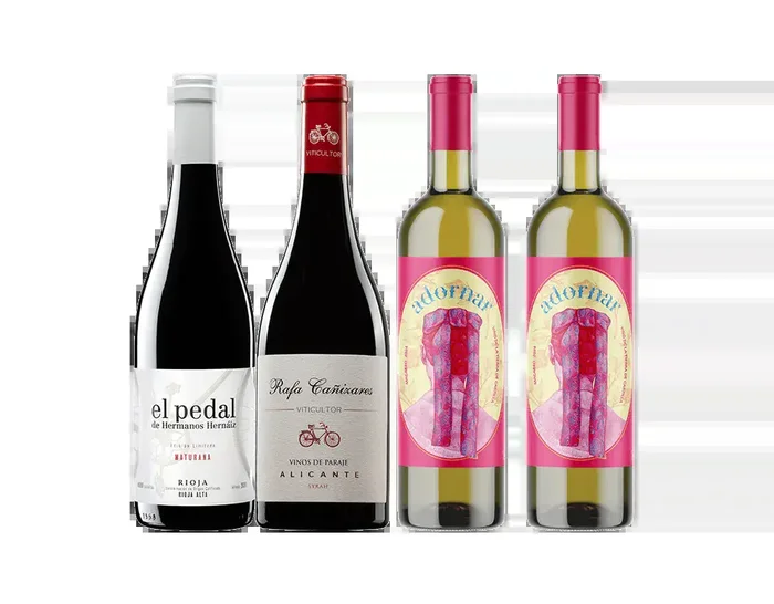 Premium Spain Mixed Wine Collection